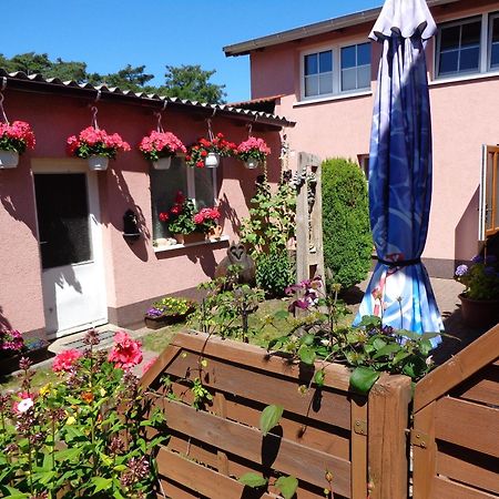 Ferienwohnung Duehne Ostseebad Kühlungsborn المظهر الخارجي الصورة